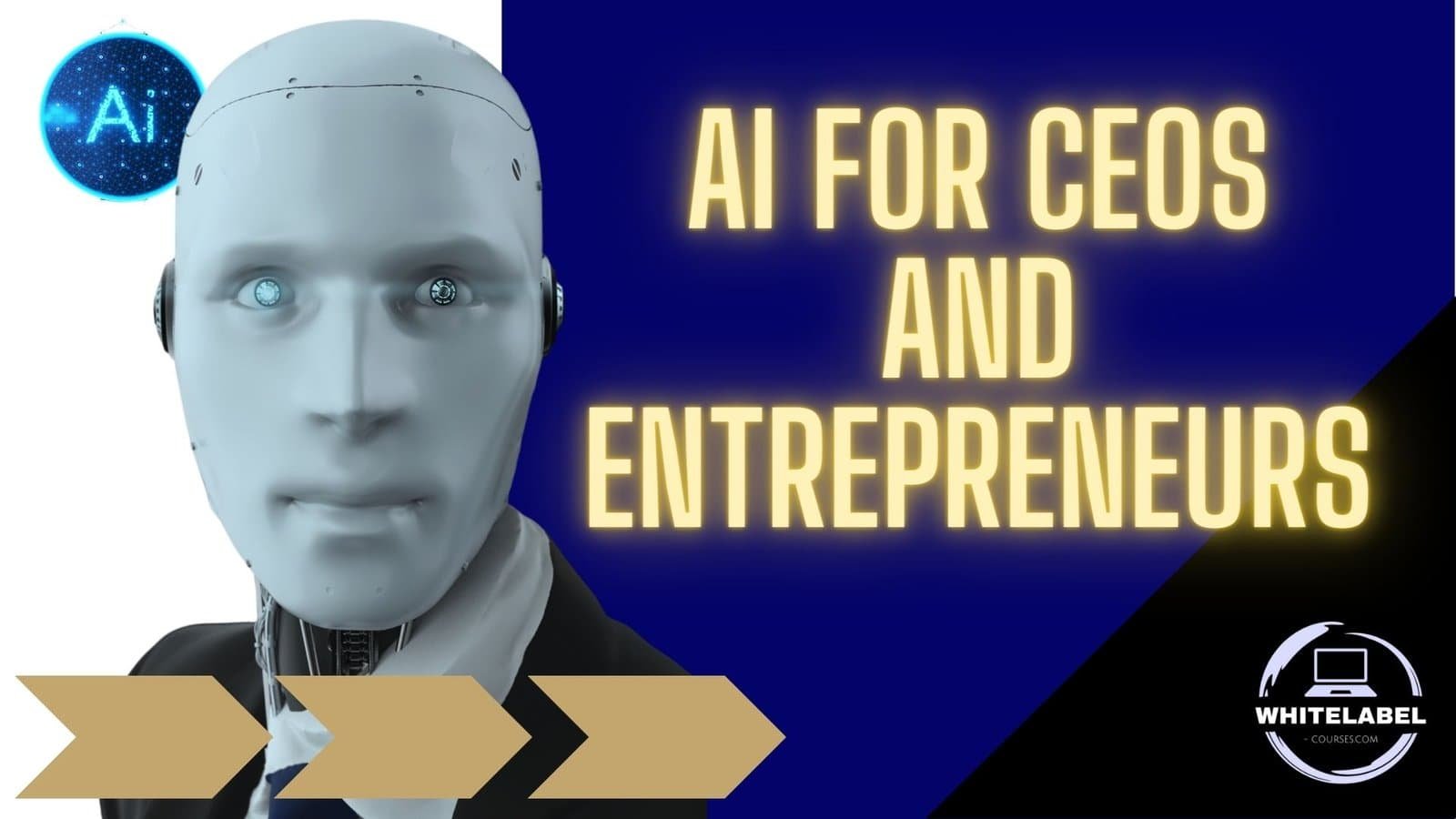 View of AI for CEOs and Entrepreneurs COURSE